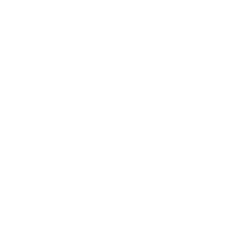 Lari